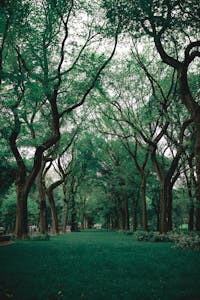 cremation service in Lumberton, NJ
