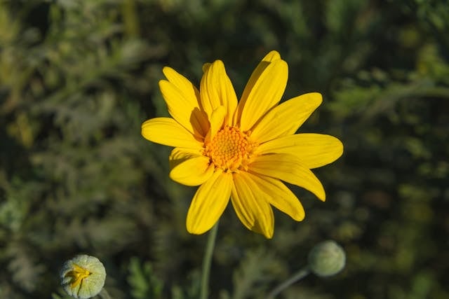 funeral homes Eastampton Township, NJ